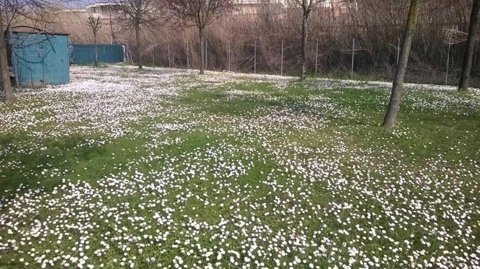 Hotel Rosati Rimini Zewnętrze zdjęcie